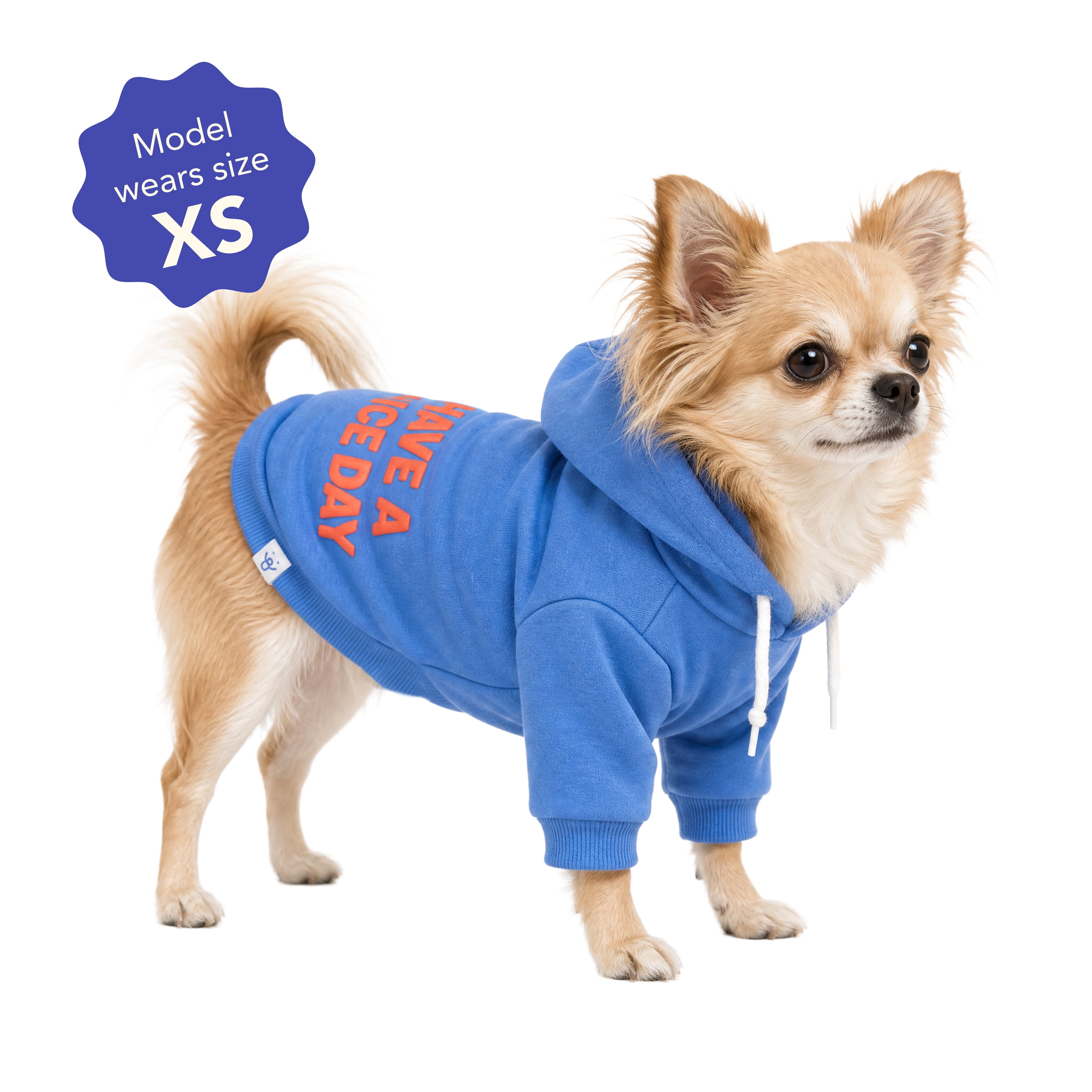 Oodles Have A Nice Day Fall Dog Hoodie, Blue, XS