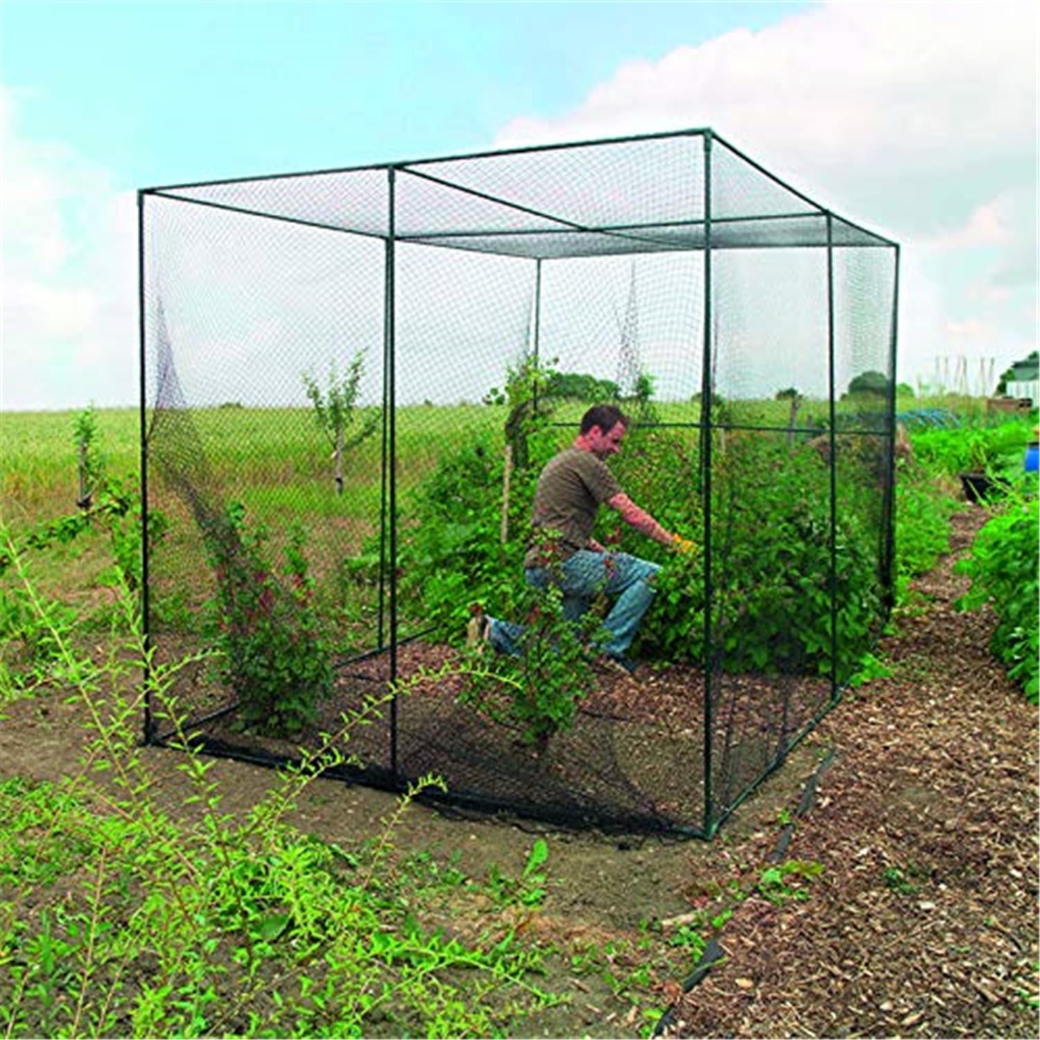 Gardman Large Fruit Cage