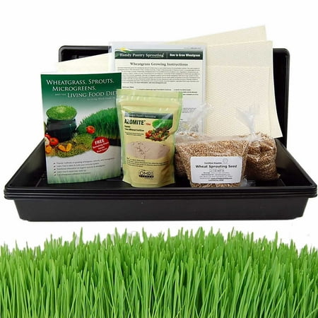 Hydroponic Organic Wheatgrass Growing Kit - Grow Wheat Grass without Dirt / Soil - Complete Grow