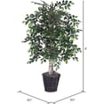 thumbnail image 2 of Vickerman 4' Mini Ficus Bush - TBU4240, 2 of 3