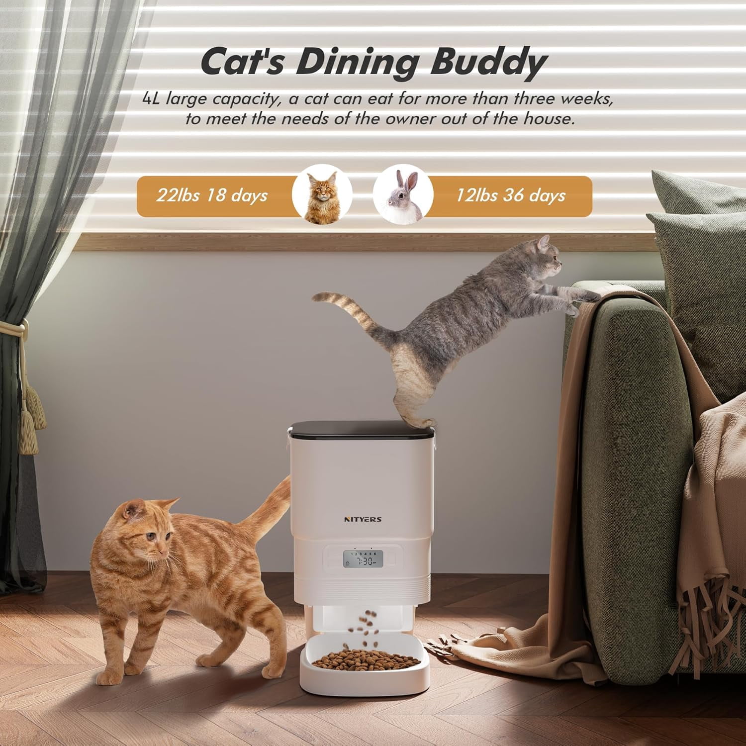 Automatic Cat Feeder - 4L Timed Dry Food Dispenser with Dual Power, Programmable Portions for Cats and Small Dogs