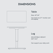 FLEXISPOT 40x24 Home Office Height Adjustable Standing Desk with Hooks, Ergonomic Electric 2-Stage Stand Up Computer Desk, Black and Maple
