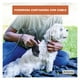 thumbnail image 4 of Cortadora para Mascotas Wahl Basic Pet kit 8 pz, 4 of 4