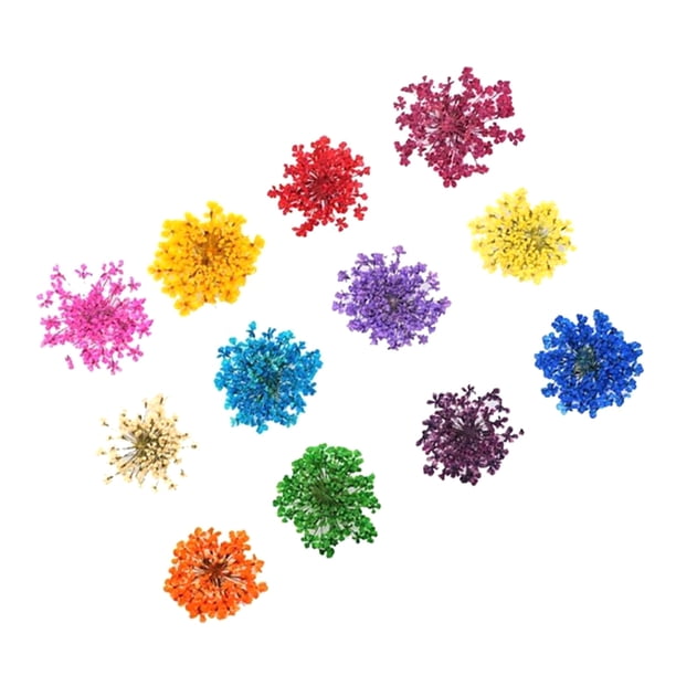 EeaseMX Estuche con 12 flores secas reales para decoración de uñas, pegatinas con diseño de flores, apliques tridimensionales, pegatinas 3D para uñas, suministros para uñas
