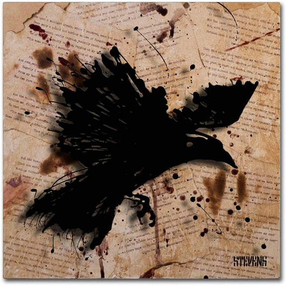 Trademark Fine Art Roderick Stevens 'The Raven 1' 14 x 14 (RS1011-C1414GG)