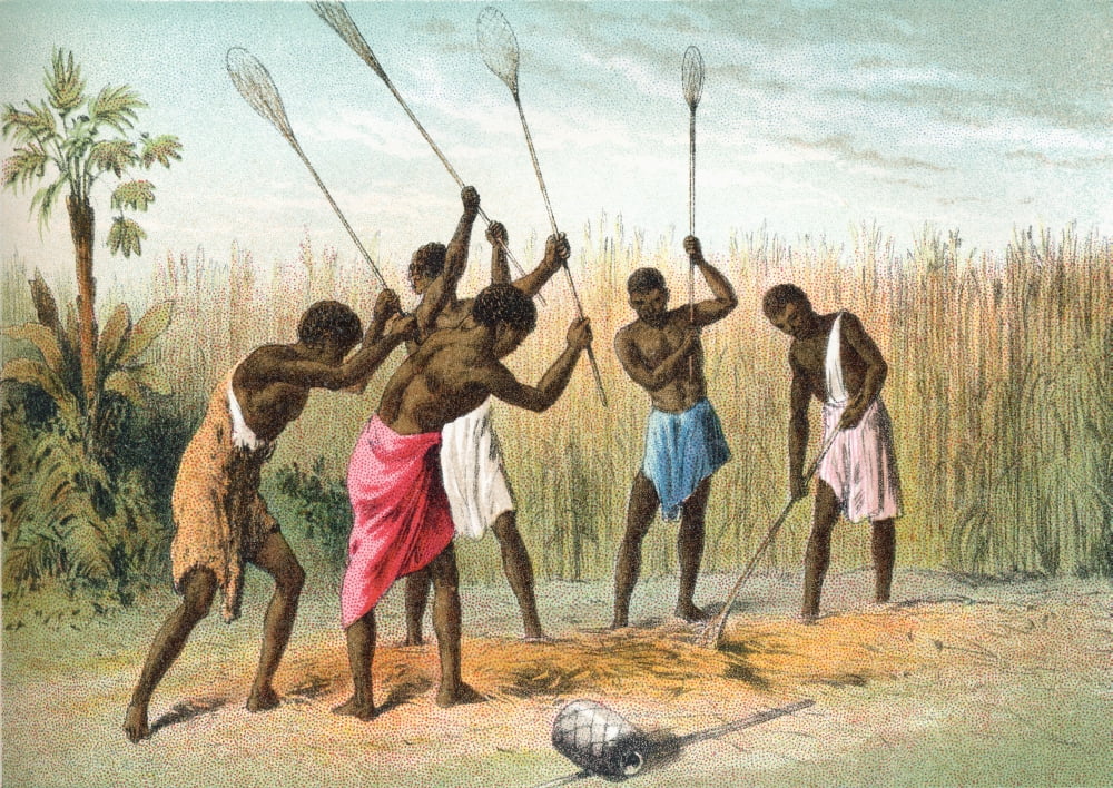 Native Africans Beating Sorghum Or SorgoWhich Is Grown For Fodder Silage Or Syrup In Africa In The 19Th Century From The Life And Explorations Of Dr Livingstone Published C1875 Canvas Art - Ken Welsh