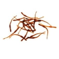 thumbnail image 4 of 20pcs Gusanos Suaves Atraen Cebos Biónicos Capturan Peces Grandes Acciones de Plástico Flexible Natación Cola Soft Worm Seure, 4 of 7