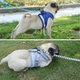 thumbnail image 7 of Deago No Pull Dog Pet Harness Reflective Adjustable No Choke Easy Control With Leash for Small Dog Cat Pet Outdoor Walking Travel (Blue, XL), 7 of 7