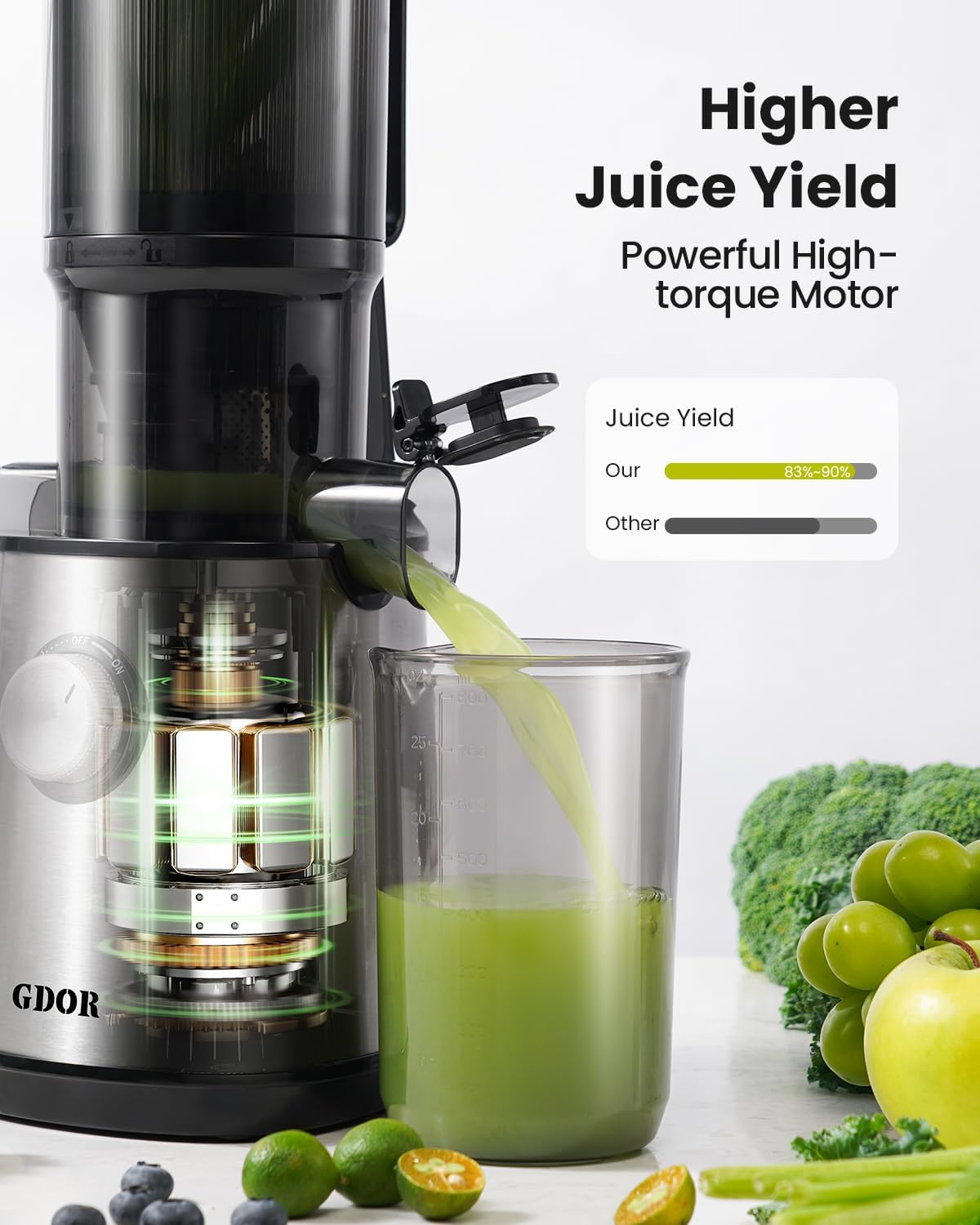 Cold Press Juicer Machines, 4.25'' Large Feed Chute Masticating Slow Juicer Fits Whole Fruits and Vegetables, Low Noise, Silver
