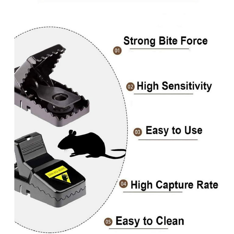 8 Best Mouse Traps of 2024