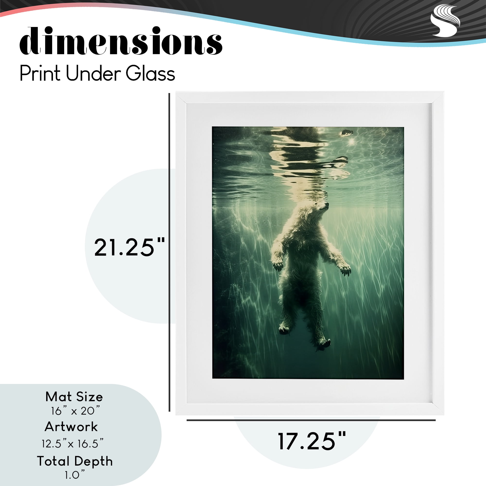 Floating Bear Underwater White Framed Print Under Glass, design by Decent Exposures