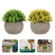 thumbnail image 2 of GOOHOCHY 2 sets Adornos de sala de estar de Bonsai Artificial para decoración (amarillo, verde), 2 of 4