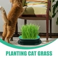 thumbnail image 4 of Miangastore 5Pcs Household Cat Grass Planter Practical Cat Grass Box Creative Cat Plant Nursery Planting Box, 4 of 9