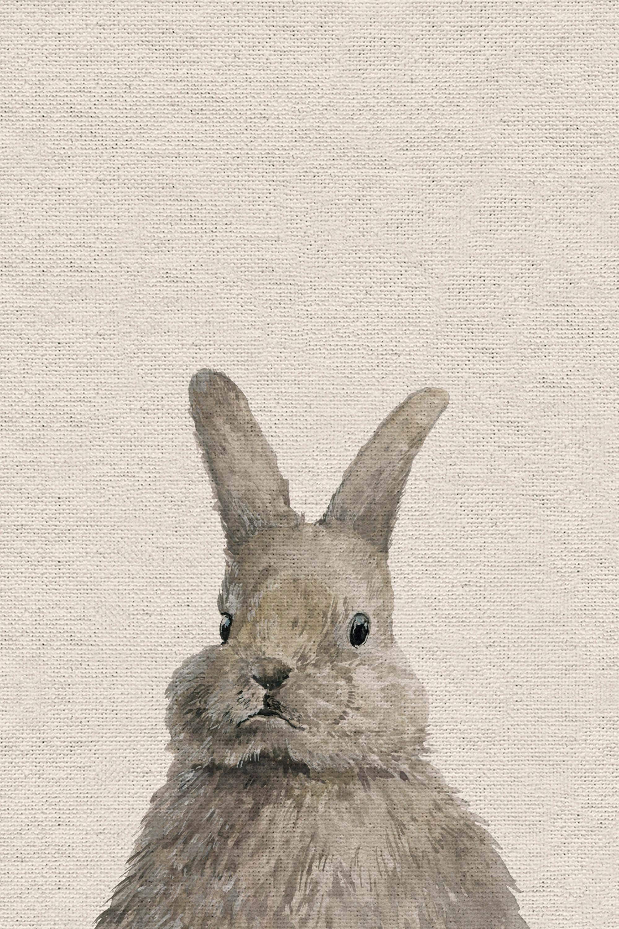 Chubby Hare II Painting Print on Wrapped Canvas