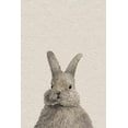 thumbnail image 2 of Chubby Hare II Painting Print on Wrapped Canvas, 2 of 7