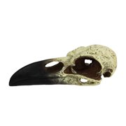 Komodo Raven Skull, Bone and Black Resin, Aquarium Decor