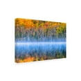 thumbnail image 2 of Yimei Sun 'Fall Color' Canvas Art, 2 of 3