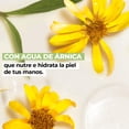 thumbnail image 4 of Yves Rocher 3 PACK crema para manos secas PUR ARNICA Hidratante larga duraci&oacute;n: 3 Cremas Hidratantes (75 ml C/U), 4 of 4