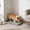 Gray, variant on Dog Potty Tray for Small Medium Dogs, Removable Grid Pet Litter Box, Portable Puppy Toilet for Apartment and Travel