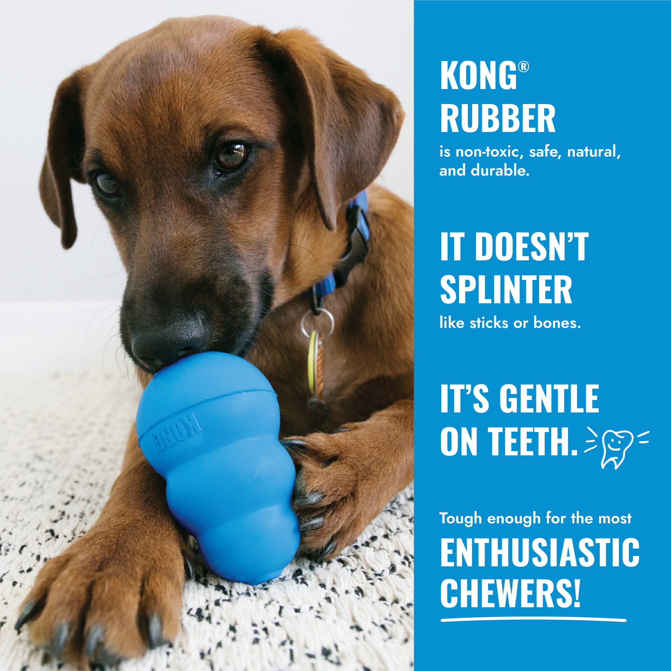KONG Puppy Chewable 1-Piece Chew Toys, Blue M (1 Pack)