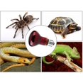 thumbnail image 3 of 2 bombillas térmicas para reptiles, lámpara térmica infrarroja duradera, bombilla térmica roja para mascotas, para reptiles, anfibios, lagartos, tortugas, 220-230 V, 3 of 4