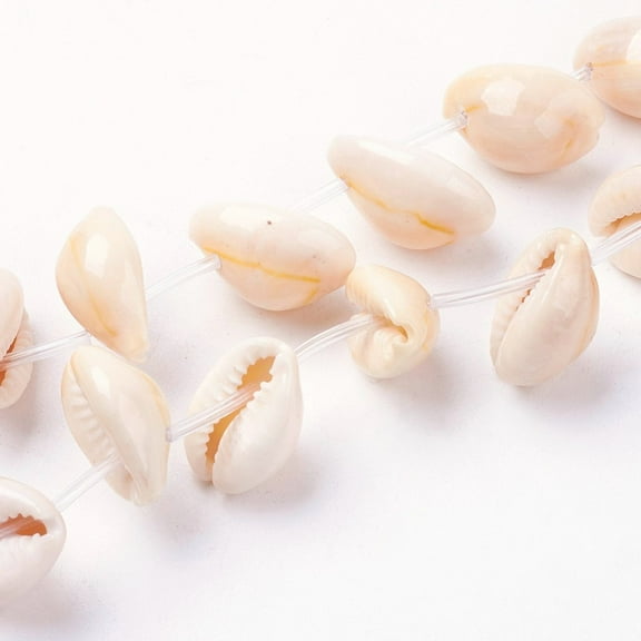 1Strand Natural Cowrie Shell Beads Strands Bisque 17~19x10~14x8~9mm Hole: 1mm 26pcs/strand 15.5 inch(39.5cm)