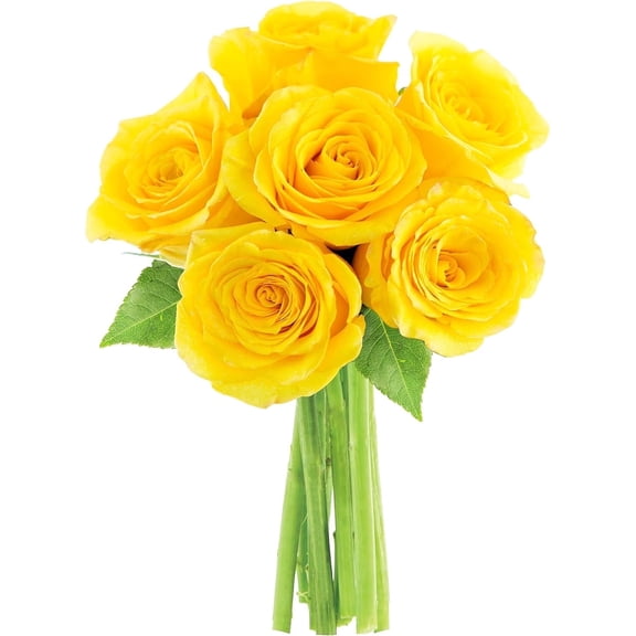 KaBloom : Bouquet of Fresh 6 Yellow Roses, Next-Day Delivery, Gift for all occasions