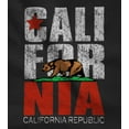 thumbnail image 4 of TeeStars - California Bear Republic Kids T-Shirt Medium Black, 4 of 4