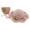 A34-Pink, variant on Ccpelsie Girl and Boys Sun Hat with Wide Brim Bucket Hats Adjustable Floppy Sun Hat for Toddler Kids(White,One Size)