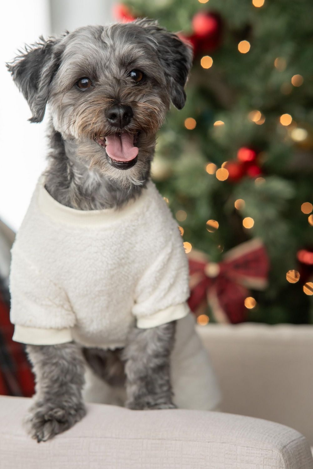 Vibrant Life White Fuzzy Pet Holiday PJ pour animaux de compagnie - Pyjama pour chien et chat - Blanc