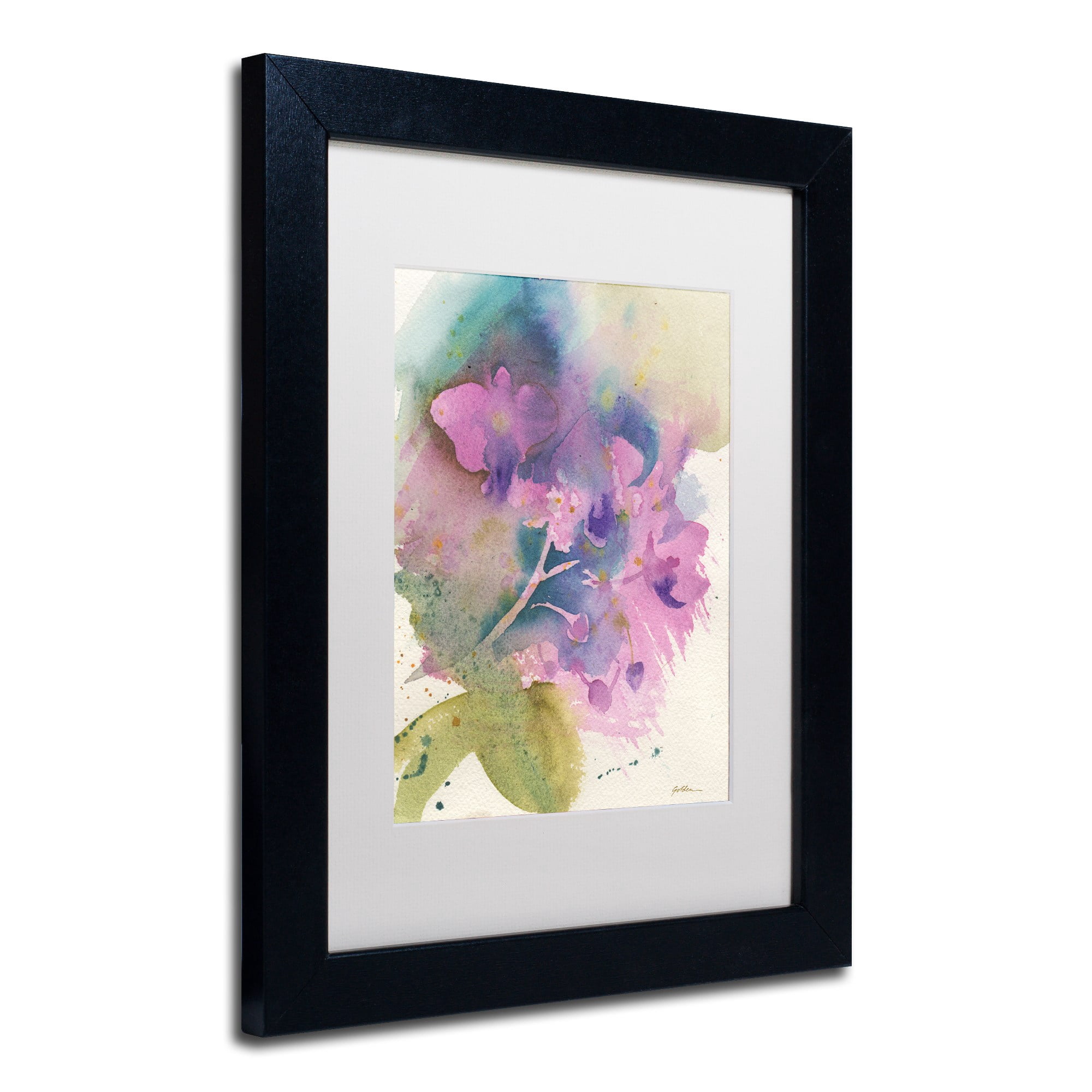 Trademark Fine Art "Orchid Dream" Canvas Art by Sheila Golden White Matte, Black Frame