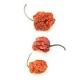 thumbnail image 2 of Scotch Bonnet Peppers, Whole - 4 oz., 2 of 2