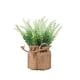 thumbnail image 1 of Macetas para Plantas Plantas Artificiales en Macetas de Flores, Mini Macetas de Flores, Plantas de Tela, Decoración Del Hogar, Fiestas, Bodas, Jardines, Mesas de Comedor, Oficinas, Decoración Del Pati, 1 of 6