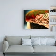 thumbnail image 3 of Trademark Fine Art 'Polly Red And Green' Canvas Art by Dana Brett Munich, 3 of 3