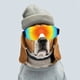 thumbnail image 4 of Gafas para Perros, Protección UV para de Viento, Protección para los Ojos, Gafas de Sol Ajustables para Perros y Gatos, 4 of 7