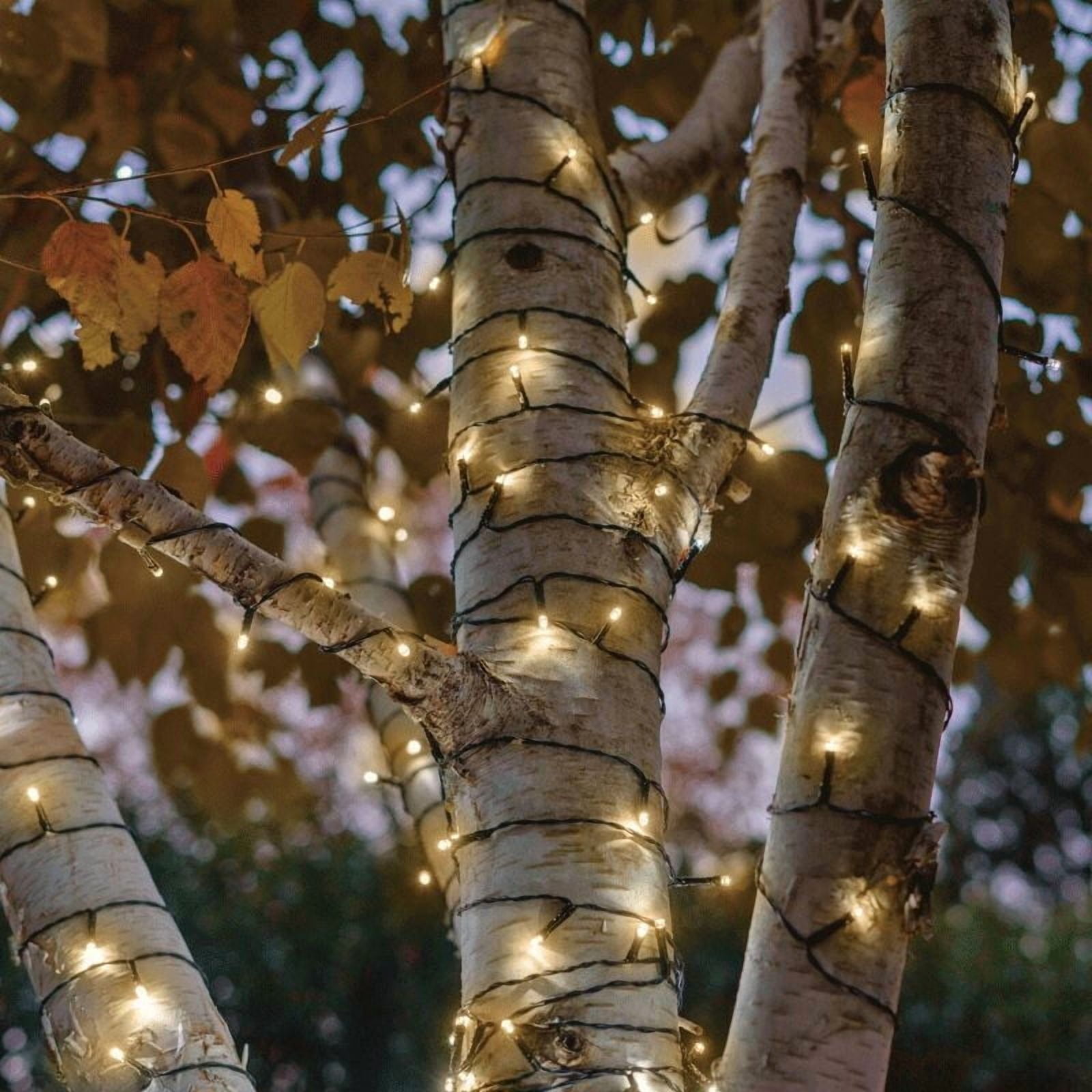 Mainstays 100 Count Solar Warm White String Light