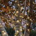 thumbnail image 1 of Mainstays 100 compter solaire chaud blanc String Light, 1 of 1