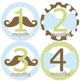 thumbnail image 1 of Tech Baby Month Stickers Cartoon Beard Boy Girl 1-12 Monthly Milestone Sticker Best Birthday Shower Gift Party Photo Age Sticker, 1 of 1