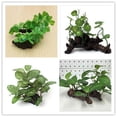thumbnail image 3 of Fish Tank Plant Creative Plastic Aquarium Artificial Plant Fish Tank Decoration, 3 of 9
