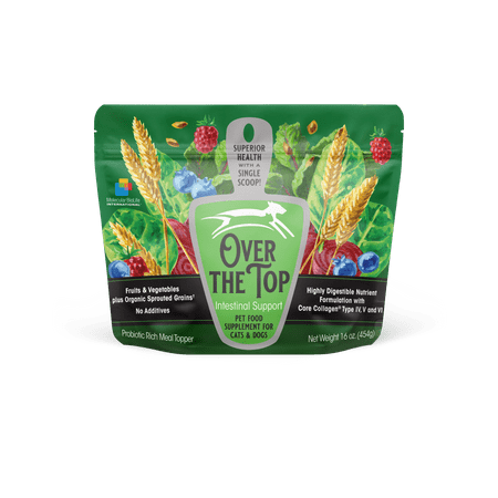 Over the Top Intestinal Support, Supplement for Dogs and Cats, Daily Food Topper