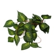 thumbnail image 1 of Crawler Simulation Green Vine, A Variety Of Models To Meet Different Needs Hanging Plant False Vine  For Decoration And Landscaping Of Fish, 1 of 8