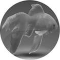 thumbnail image 1 of Ahgly Company Indoor Round Patterned Battleship Gray Area Rugs, 6' Round, 1 of 6