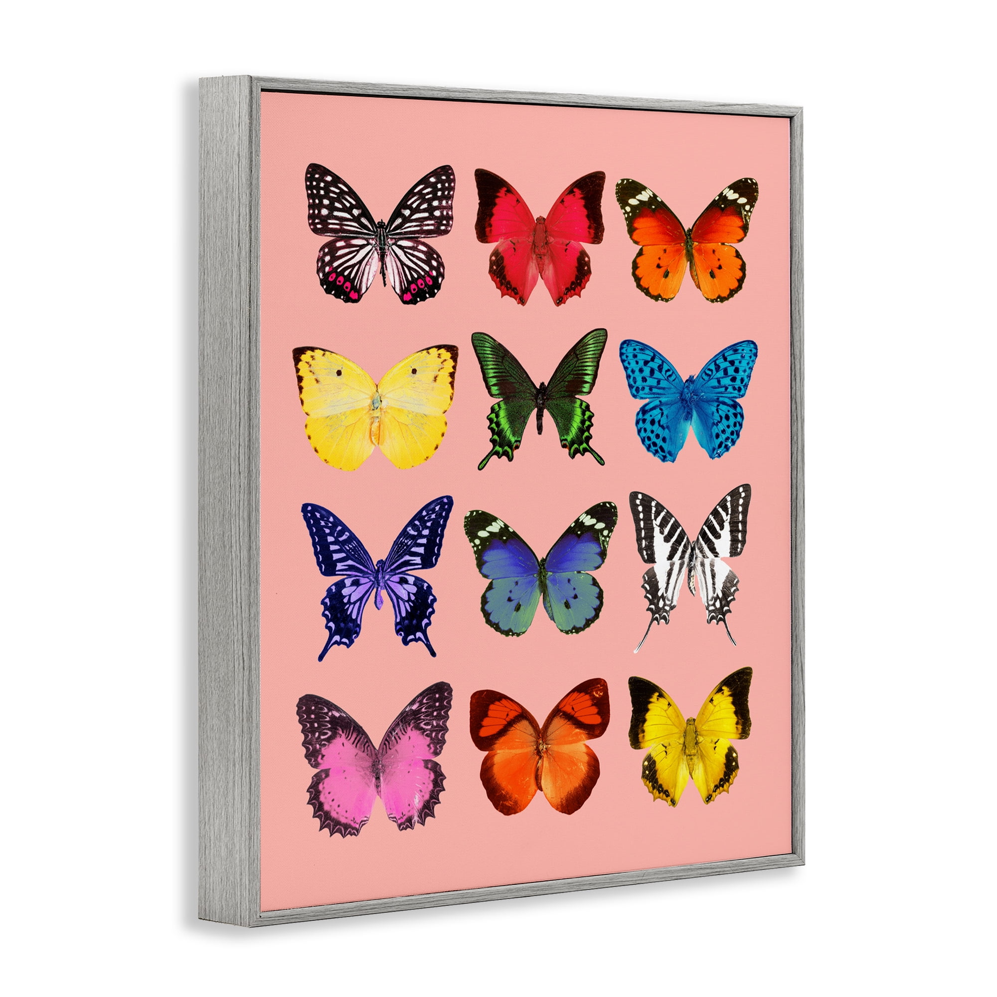 Butterfly Species on Pink Gray Framed Giclee Art, design by LISH Creative