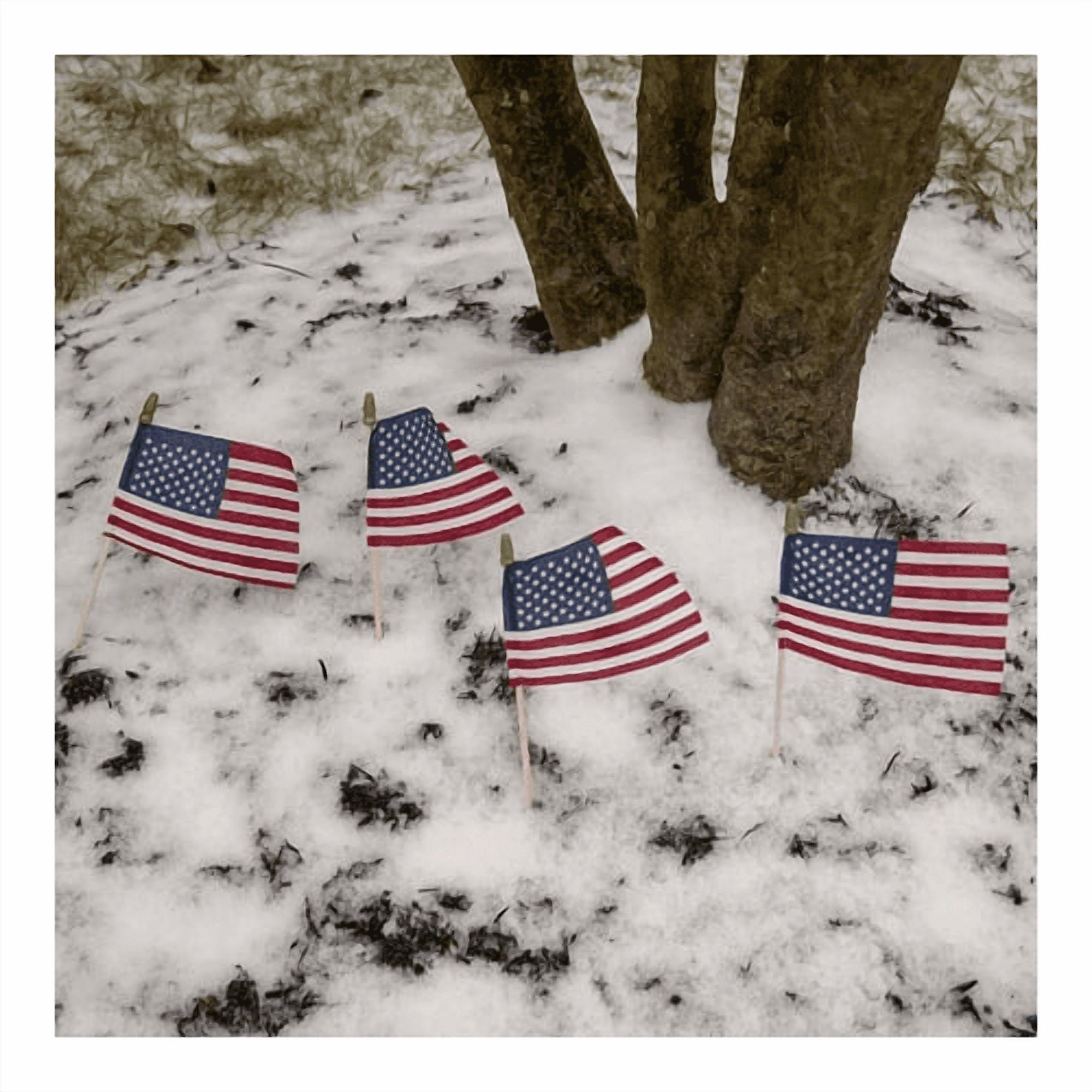 (2 pack) 4x6in Polycotton Betsy Flags US Stick Flags 4-pack