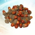 thumbnail image 2 of CIMAXIC christmas 50pcs Artificial Lifelike Small Acorn Photo Props False Nuts Home Kitchen Decor Light Color,1.18"X0.71"X0.71", 2 of 5
