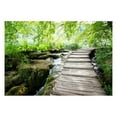 thumbnail image 2 of Tiptophomedecor Peel and Stick Forest Wallpaper Wall Mural - Forest Path - Removable Wall Decals, 2 of 3