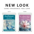 thumbnail image 4 of Celeste Scented Wax Melts, ScentSationals, 2.5 oz, 4 of 5