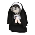 thumbnail image 1 of Costume de Chien Nun, 1 of 2