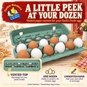 Vented Paper Pulp Egg Cartons - Teal (12-Pack)