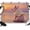 Gold, Pink, Blue, Sand, variant on 7x5ft Photo Backdrop, Surfing Pig Soft Polyester Backdrop Curtains Photography Backdrops, Oil Painting Funny Animal Beach Summer Brushed Background for Photoshoots Studio Video Portrait Parties